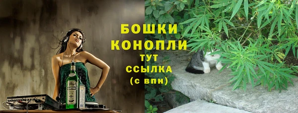 СК Белокуриха