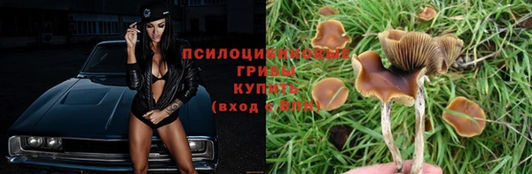 бутират Белоозёрский