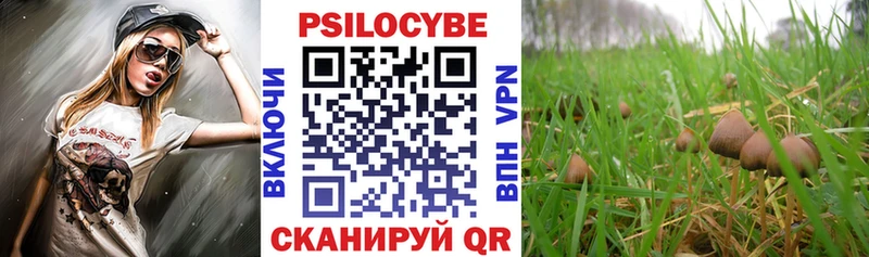 наркота  блэк спрут маркетплейс  Псилоцибиновые грибы ЛСД  Старица 